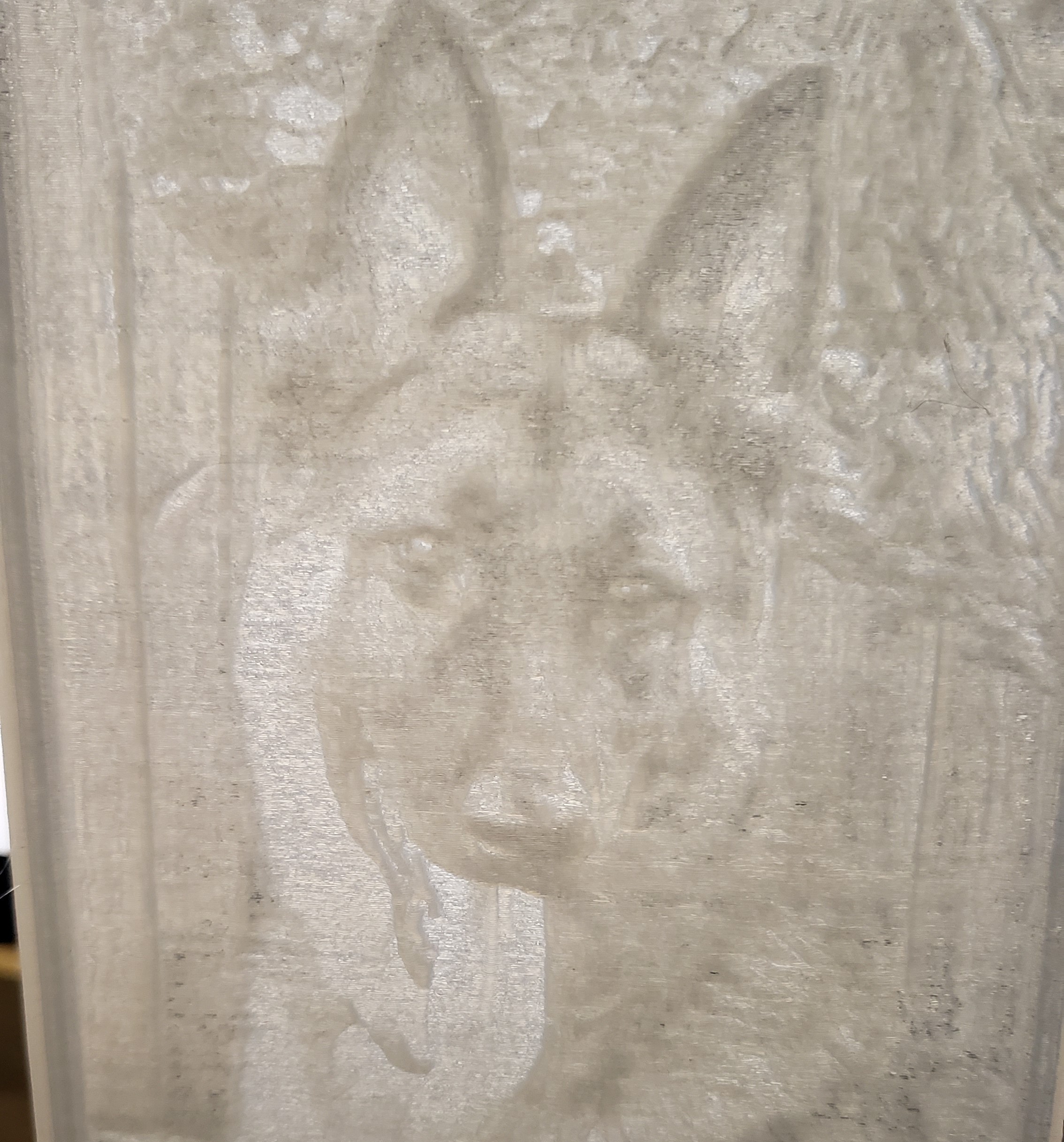 Lithophanes
